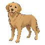 hund.png