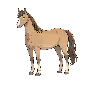 pferd.png